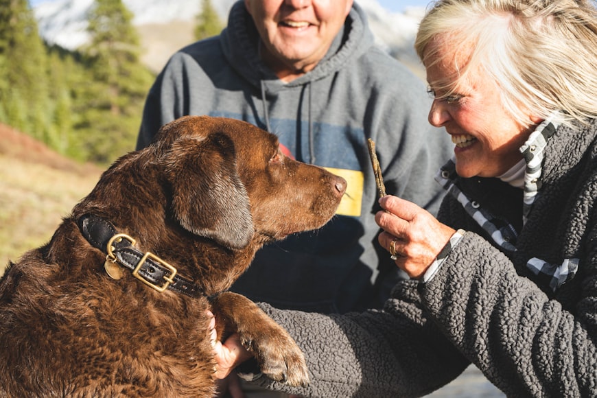 V. Dog-Friendly Truffle Preparations